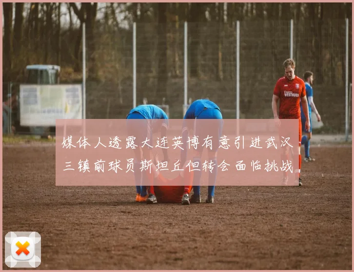 媒体人透露大连英博有意引进武汉三镇前球员斯坦丘但转会面临挑战