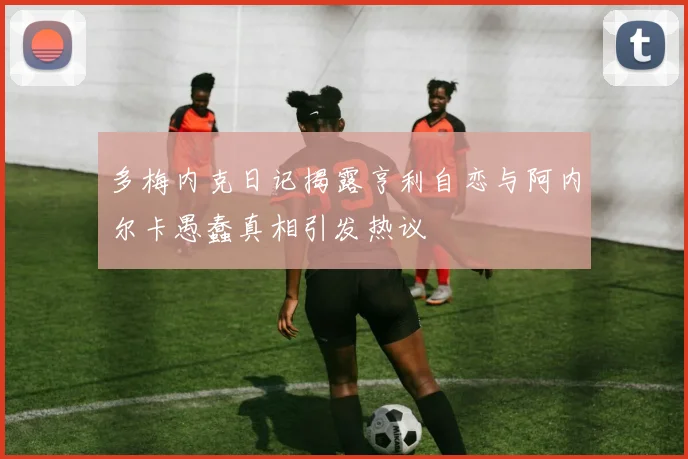 多梅内克日记揭露亨利自恋与阿内尔卡愚蠢真相引发热议